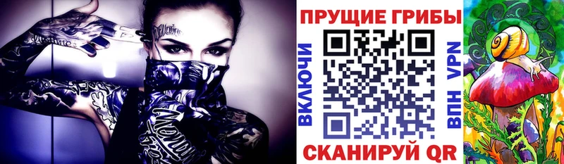 закладки  Ногинск  Галлюциногенные грибы GOLDEN TEACHER 