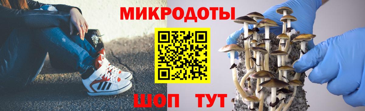 Ногинск  хочу наркоту  Вход с VPN  Псилоцибиновые грибы Psilocybe 